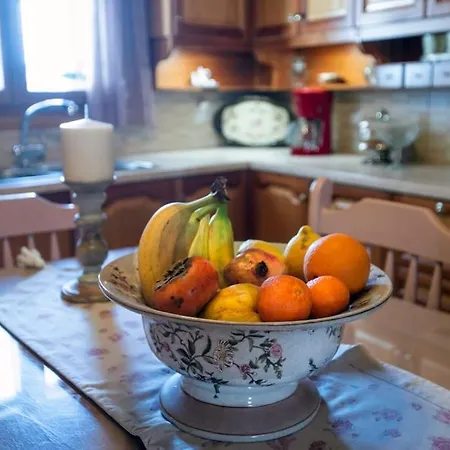 דירה Ellie's Vintage House *